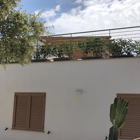 Jana Villa *